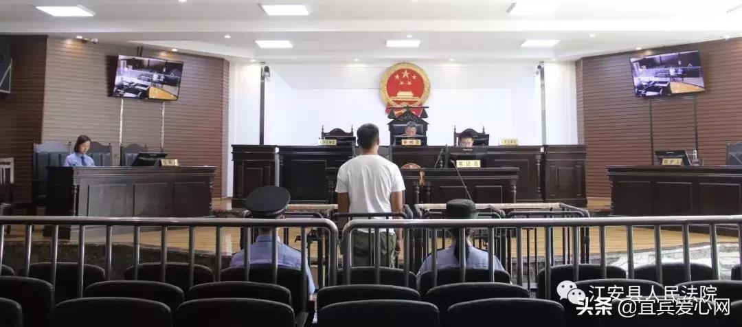 长记性啦,为啥在宜宾不能乱捕泥鳅黄鳝?江安县法院有话说