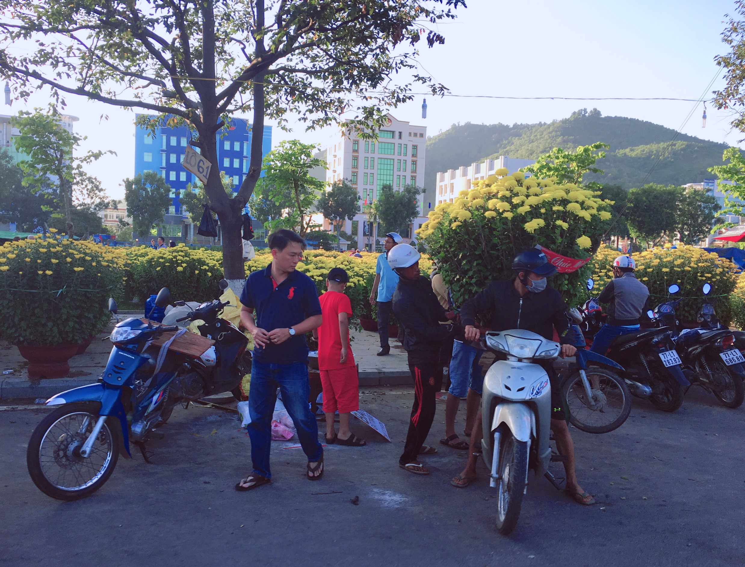 去越南自由行攻略和费用,越南自由行25天费用多少