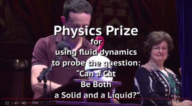 猫是固体还是液体,猫咪究竟是液体还是固体