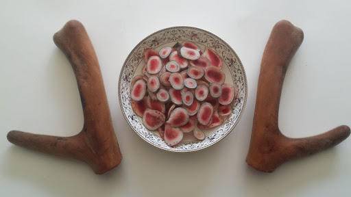 鹿茸割了梅花鹿会受影响吗,梅花鹿被割了鹿茸还会再长出来吗