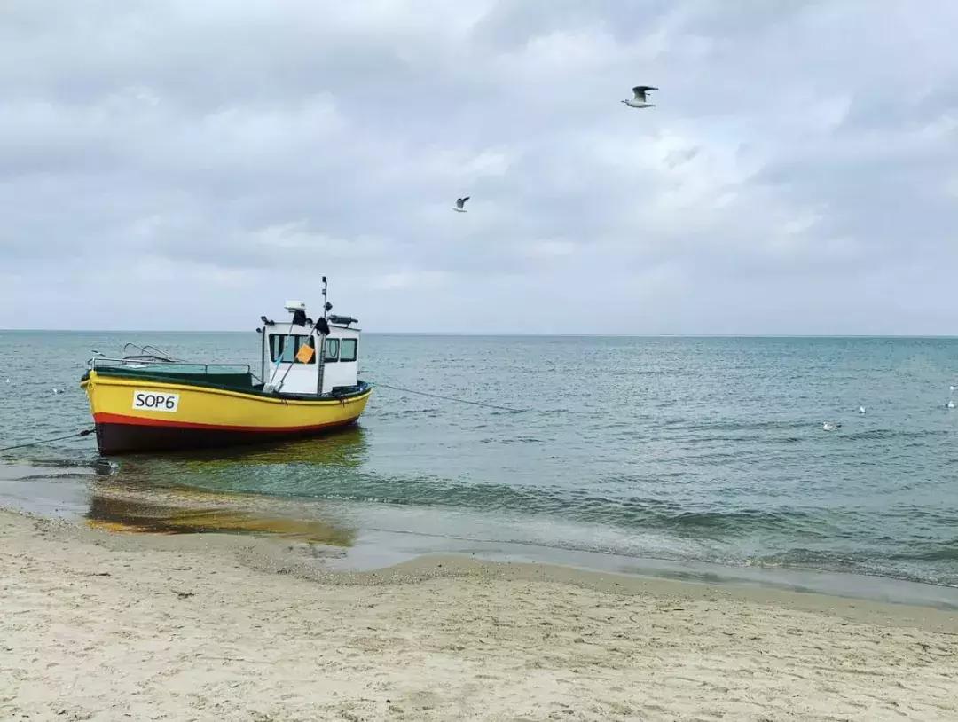 横冲直撞20岁波兰,横冲直撞20岁评价