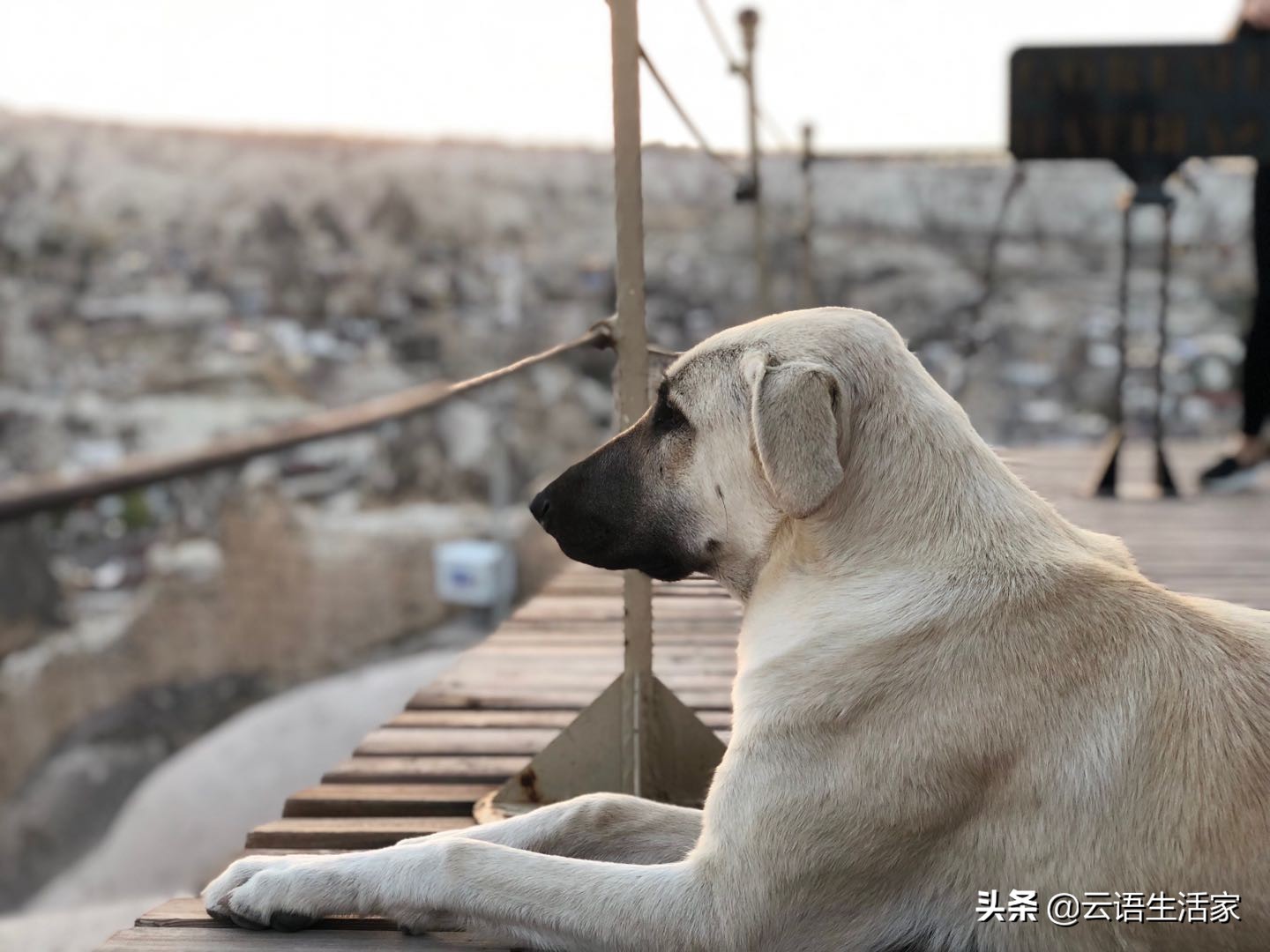 远走土耳其,我在星月之国上天入海(三)