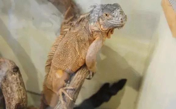 端午节好耍的亲子地方,端午节去哪儿玩适合儿童