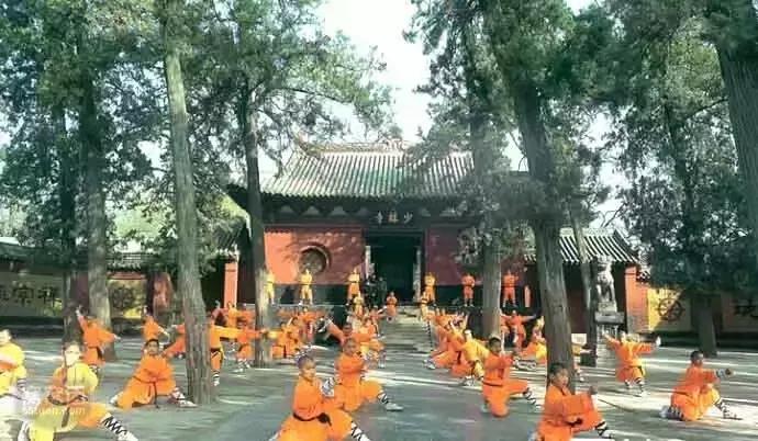 嵩山少林寺塔沟武校,嵩山少林寺文武学校