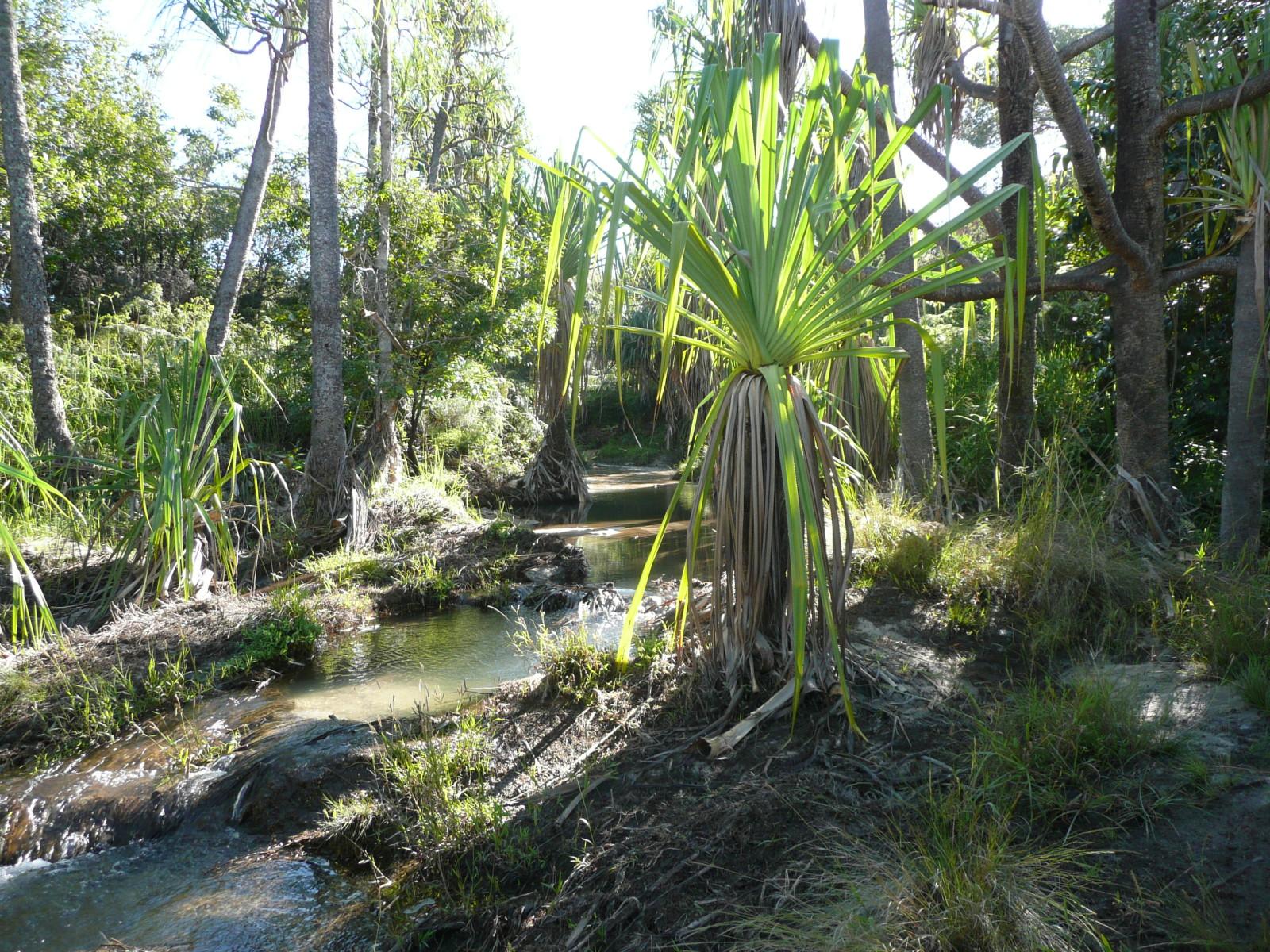 2斤龙虾100块钱,2斤龙虾58元