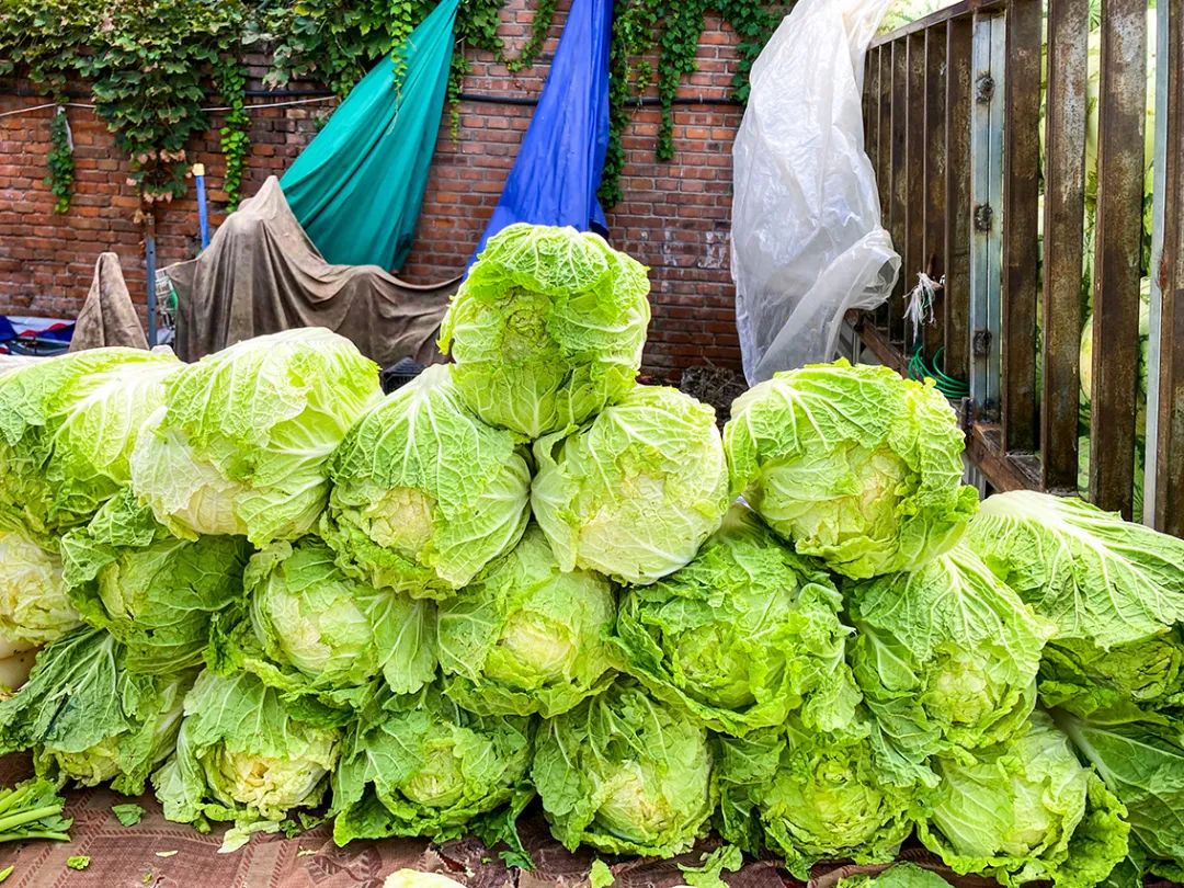 不错挺便宜的早市,附近比较旺的早市