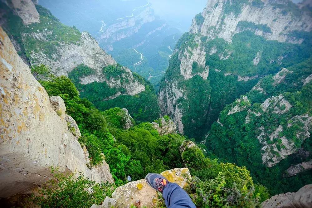 来迟了作品,来迟了歌曲完整版