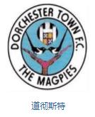 英格兰队徽壁纸,英格兰队徽图片蓝锁