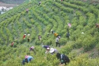 返乡创业助力家乡实体经济发展,商城县返乡创业补贴