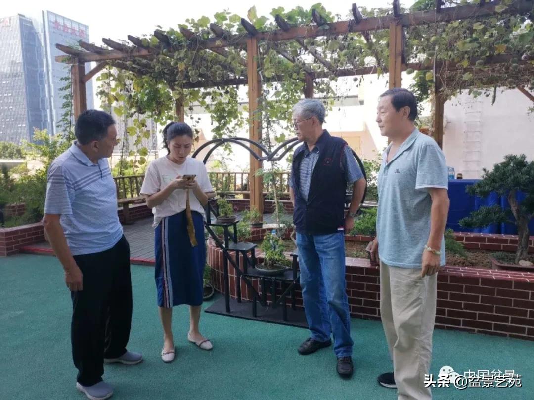 涓浗钁楀悕鐩嗘櫙澶у笀绮惧搧鐩嗘櫙,鐩嗘櫙鑹烘湳瀹跺拰鐩嗘櫙鑹烘湳澶у笀