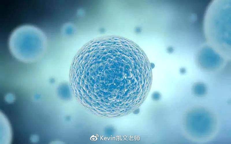 boz宝致护肤品好用吗,boz宝致皮肤解析