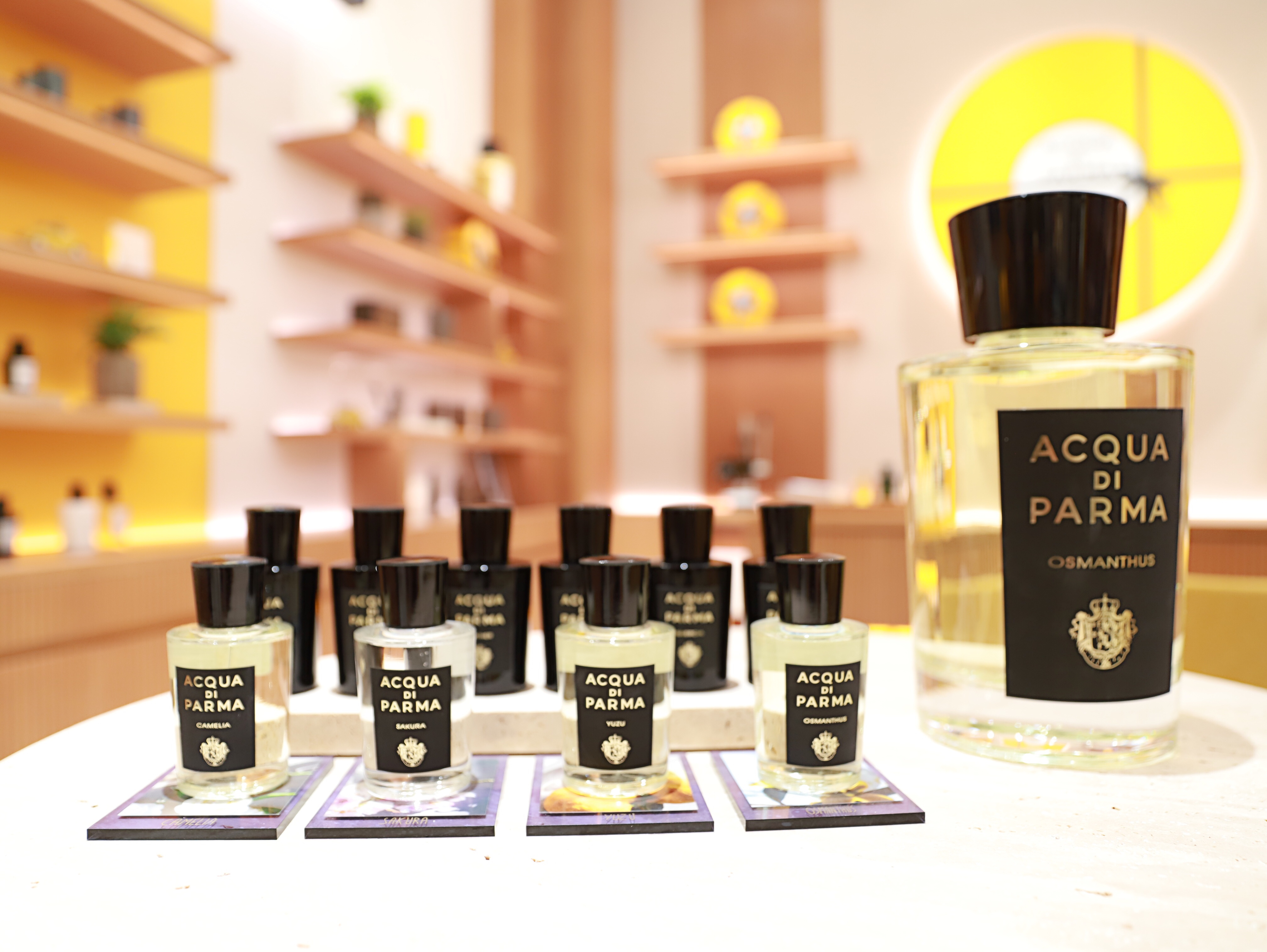 lvmh中国公司在哪里,lvmh中国区总部在哪里