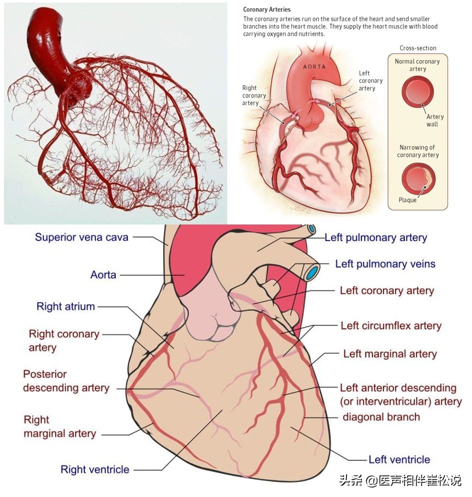 胸痛最可怕的三种疾病,十种常见的胸痛疾病