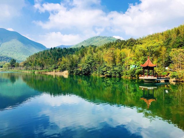 宜兴竹海自然风景图片,清新的竹林风景图片