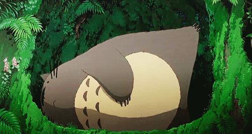 宫崎骏龙猫中一共有多少只龙猫,宫崎骏龙猫动画电影大全