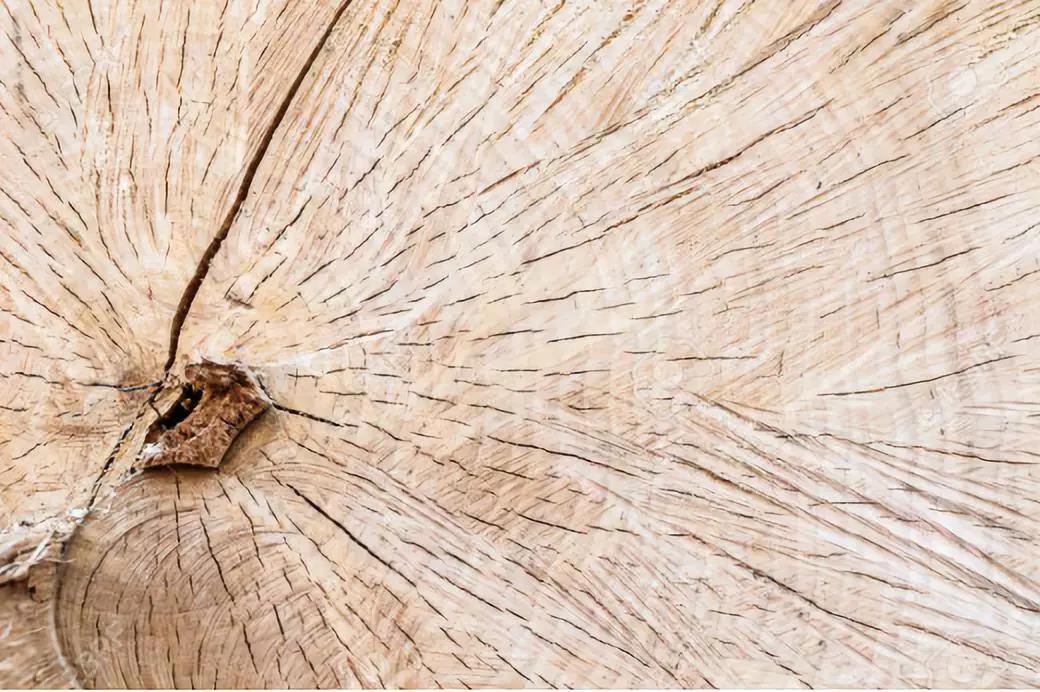 要想买房子应该先了解什么,桦木家具的优缺点总结