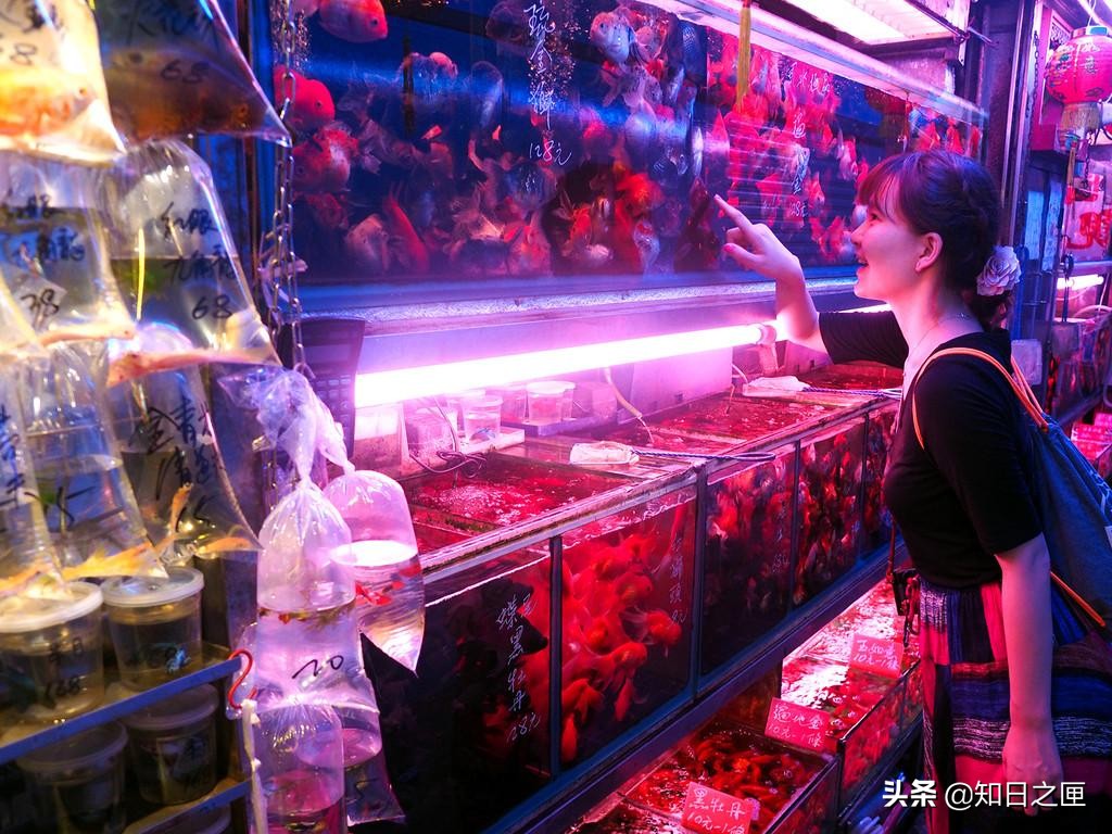 活色生香香港版,香港活色生香