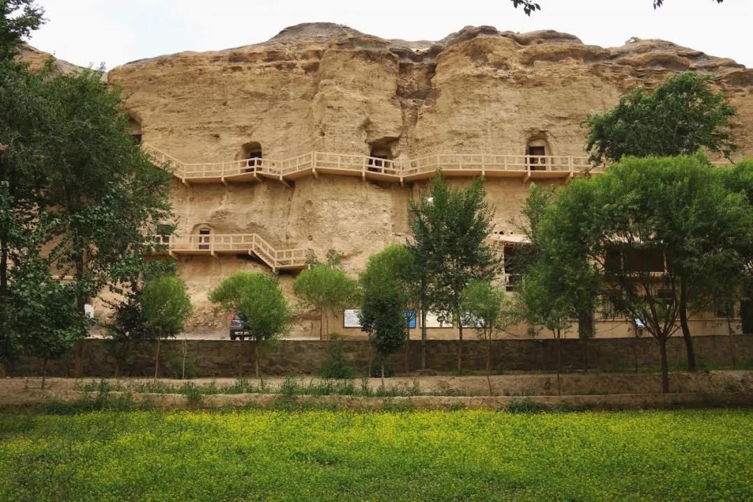 疯魔了？从长安西行天竺，女子重走玄奘路