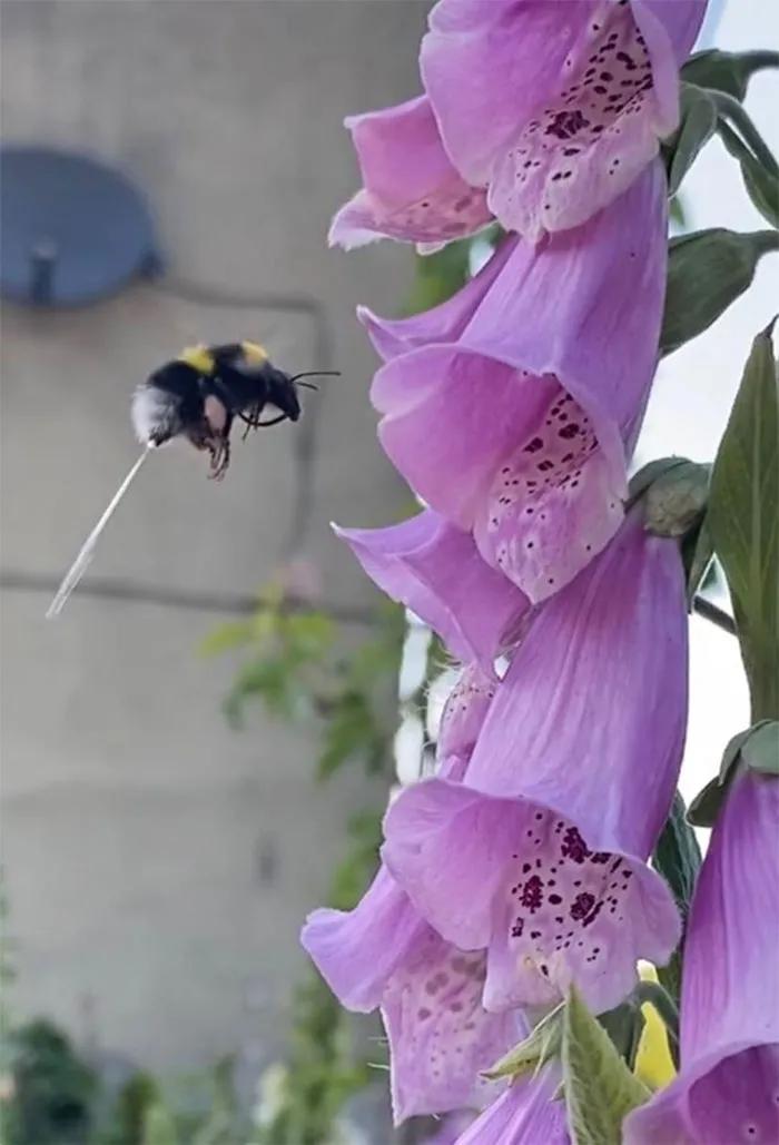 考清华北大其实很简单,有没有谁考清华北大很容易的