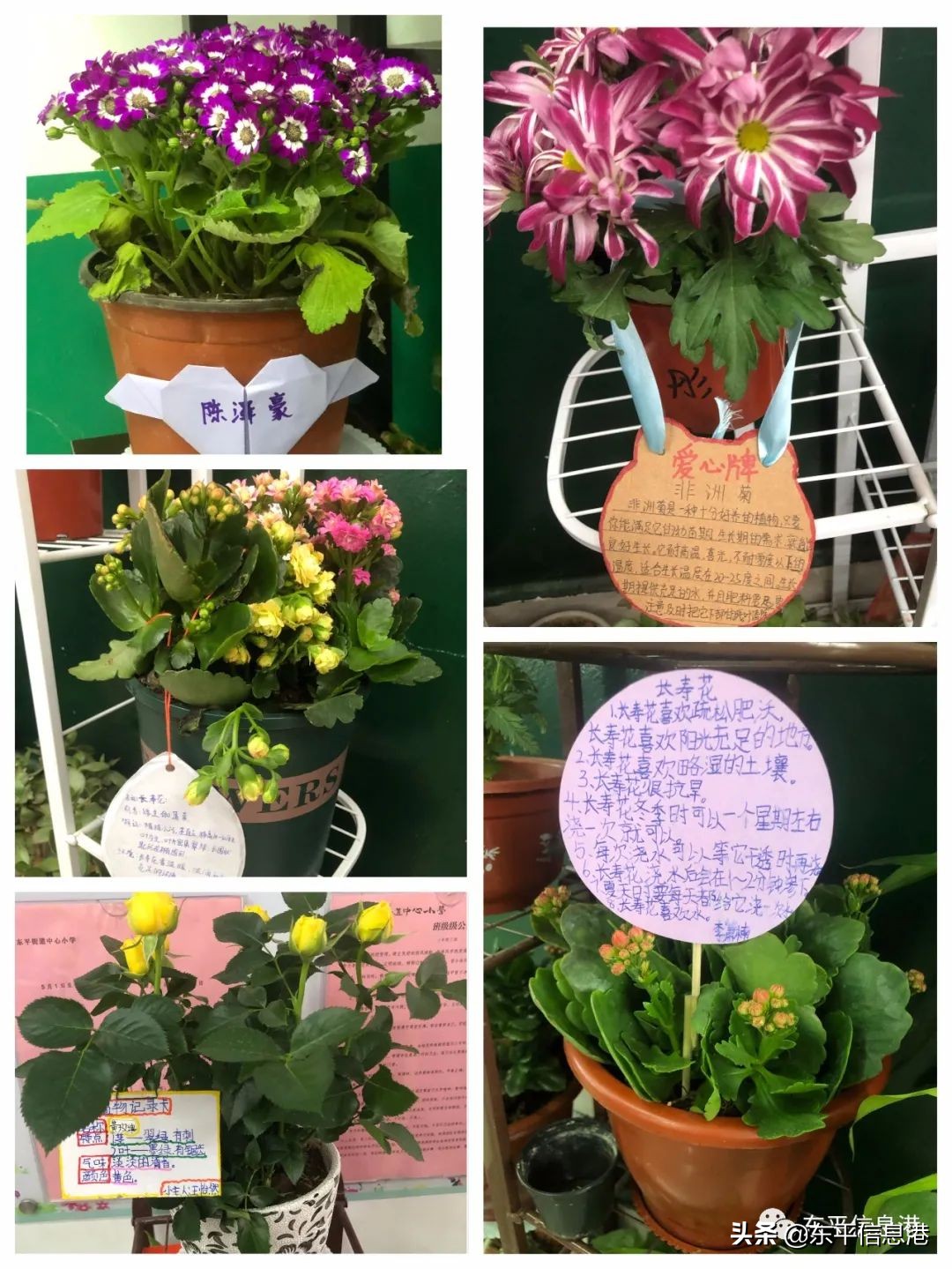 新学期开创新辉煌手抄报,新学期新希望再创新辉煌