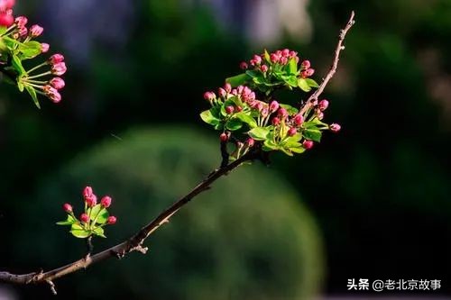 能盖章的景点北京旅游攻略,北京各大景点盖章攻略