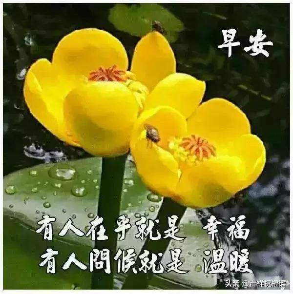 再难也要坚持早安,昨天再好也走不回去明天再难图片