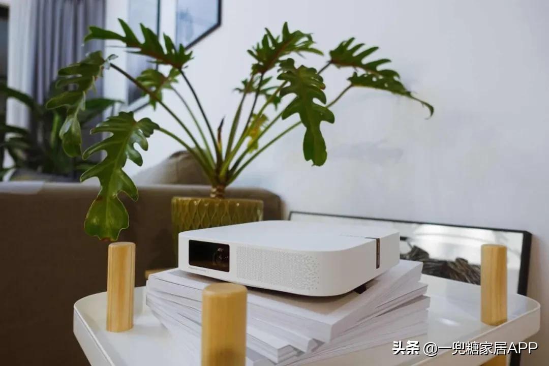 吐血整理二十个常用的小家电,不会选日常用品