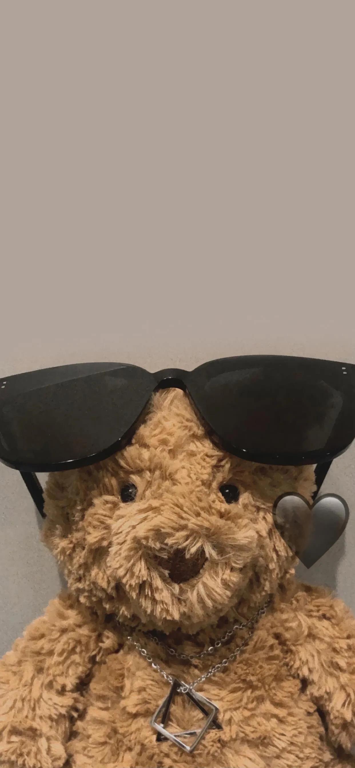 巴塞罗那熊4k壁纸,巴塞罗那熊高清手机壁纸