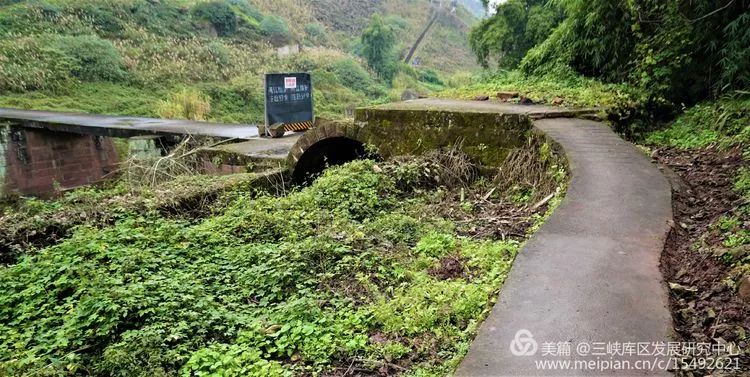 北碚复兴镇最近的视频,重庆市北碚龙门桥