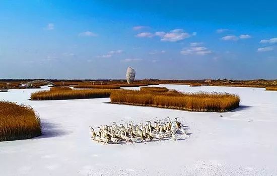 来淄博要做的十件事,来潍坊需要什么