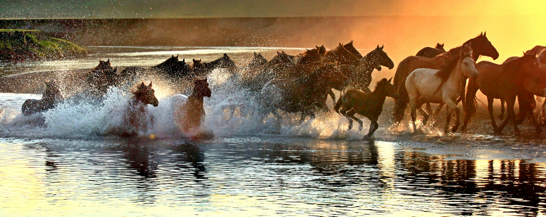拍马都追不上的成语,拍马都赶不上的成语
