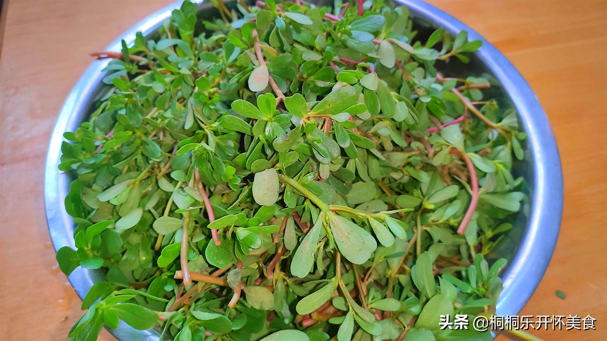 野菜马齿苋食用效果,马齿苋加一物泡水喝对肠胃好