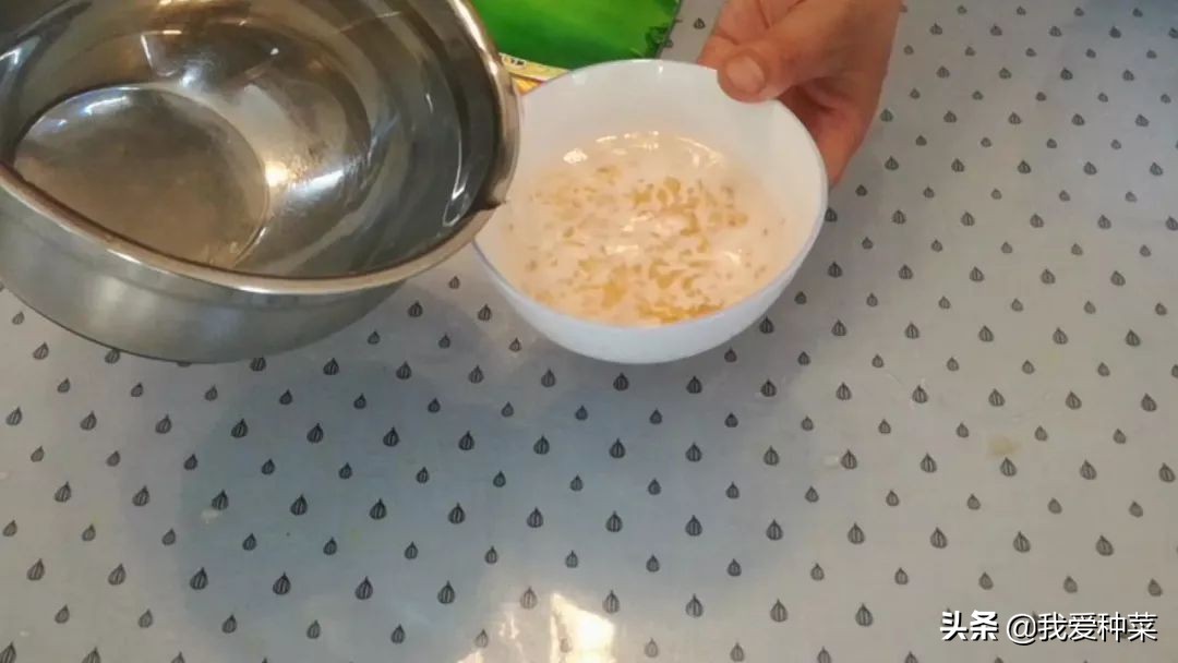 茄子怎么催芽最快最好,茄子苗育苗怎样操作出苗比较快