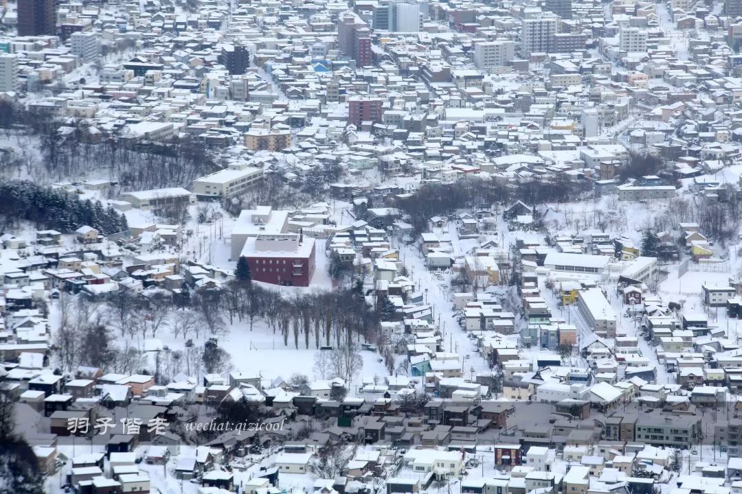 老实说，这一趟北海道就是为了拍好看的照片去的