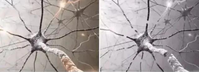 开灯后为什么听不到蚊子嗡嗡声,关灯蚊子嗡嗡叫开灯却找不到