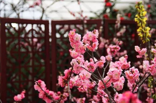 浐灞旅游一号线站点,家门口坐车去旅游真方便