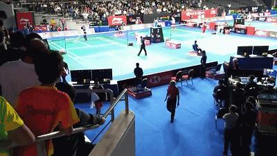 林丹被误判退赛几比几,林丹2019新加坡公开赛为什么退赛