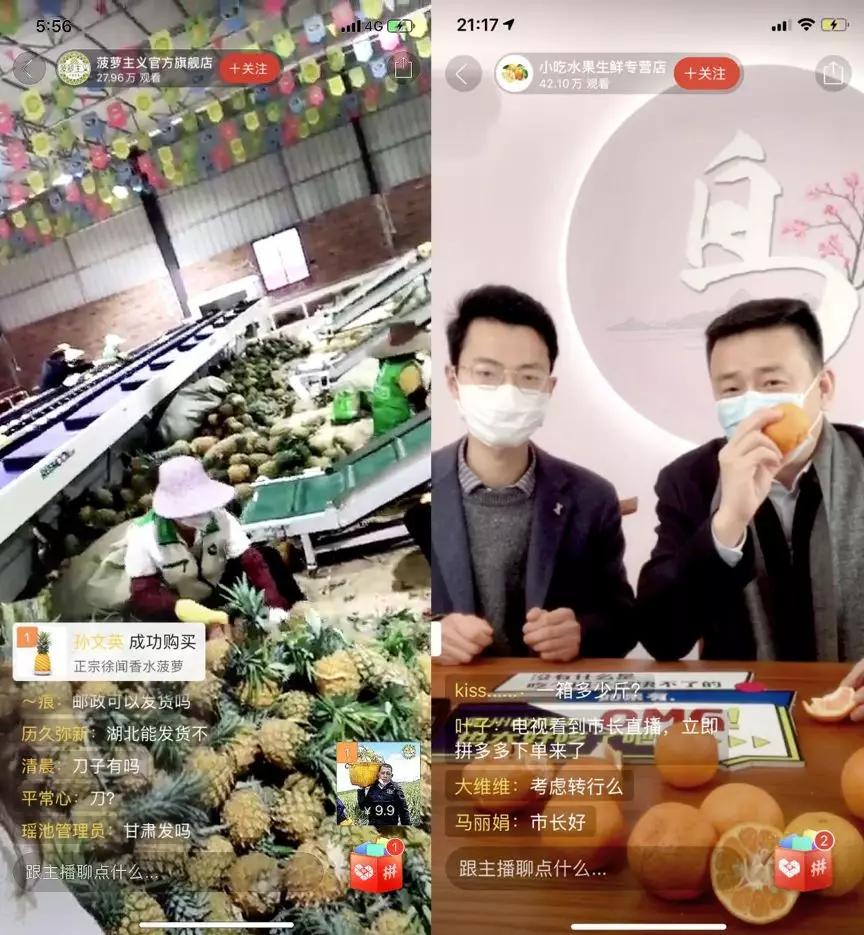 做好疫情防控春耕备耕农产品保障,农业生产与疫病防控