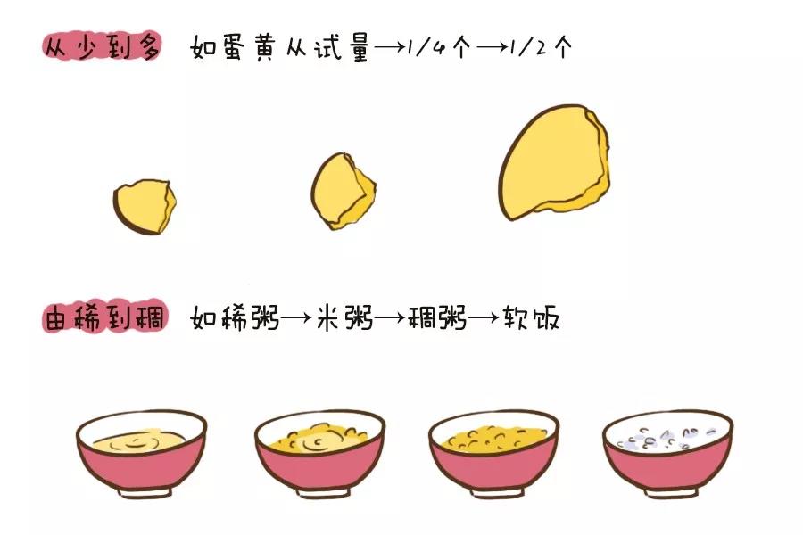 辅食菜泥的正确添加方法,如何给宝宝正确添加辅食看完就懂