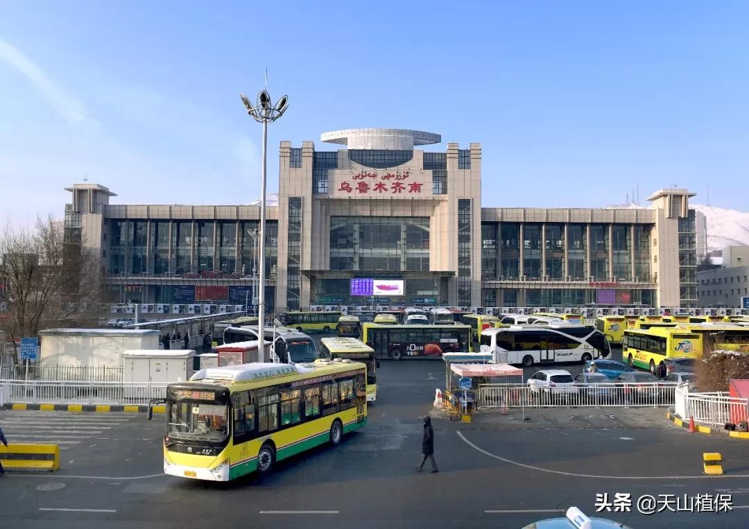 上榜啦！*疆新**鸟市和石市即将被国家命名！未来发展不可估量