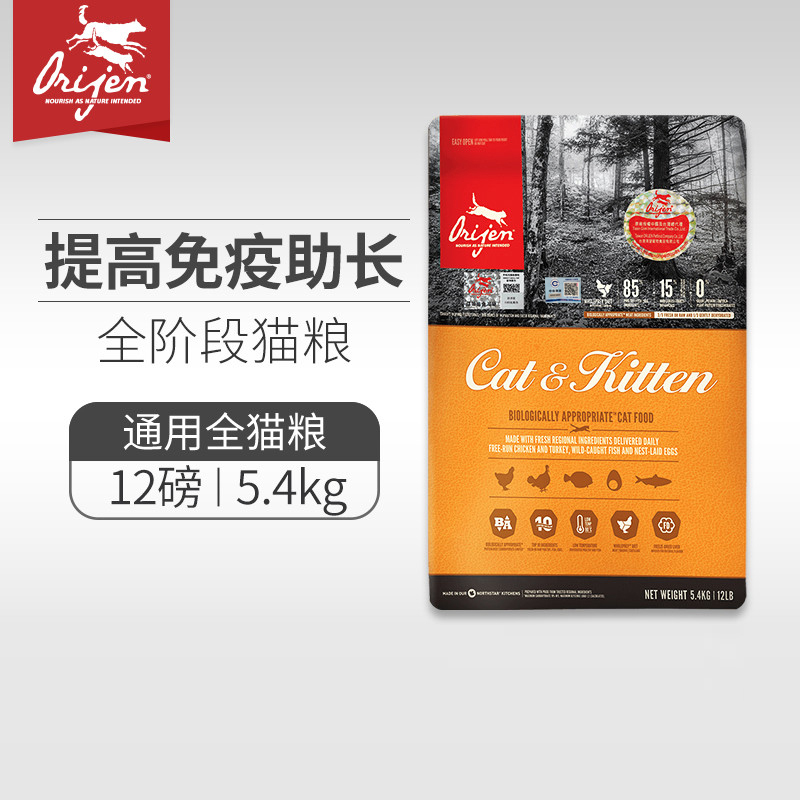 推荐买的十种猫,几百块推荐养的猫