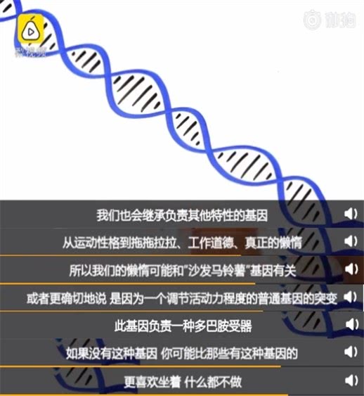 懒是家族遗传？3招告诉你如何改变孩子基因中的懒惰