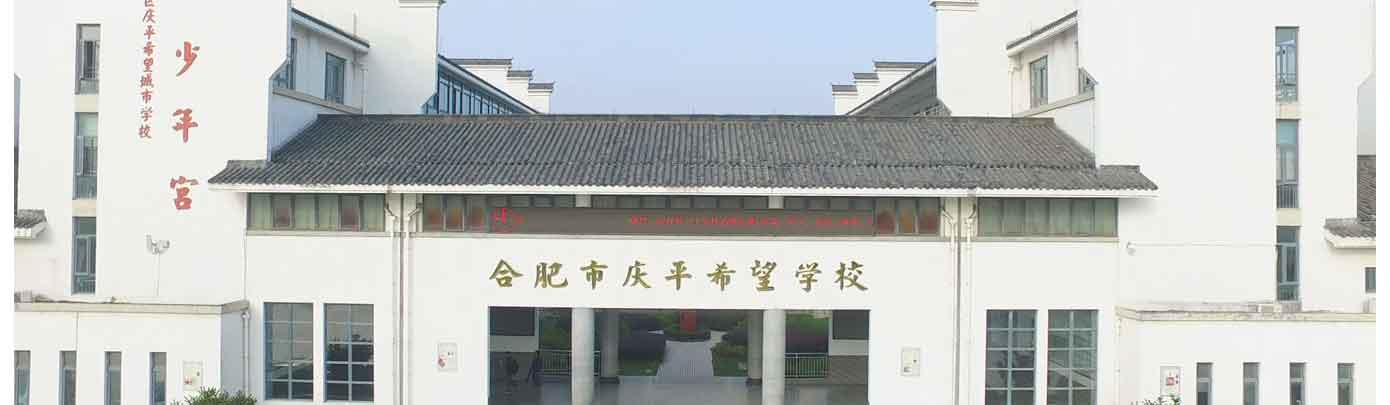 合肥市比较知名的小学有哪几个,合肥南国花园小学和琥珀小学
