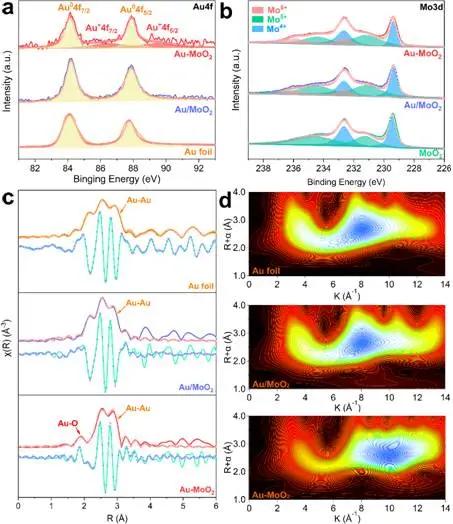 通过Au-MoO2异质结构的Au-O键强耦合实现增强析氢反应