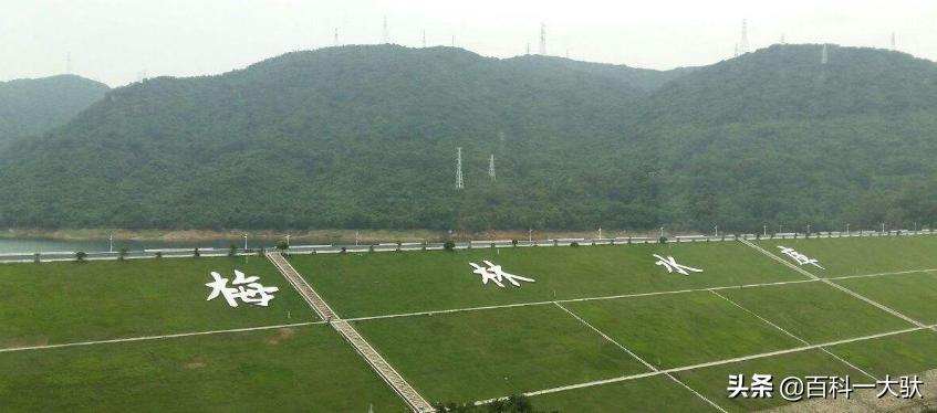 深圳市介绍文案,深圳市介绍