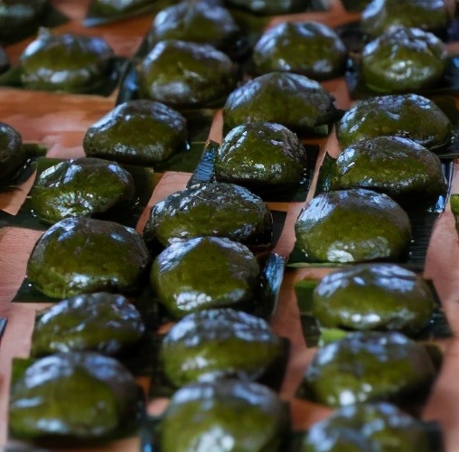 隋唐大医禅师四祖：传奇医案之蕲艾蒿治烂肠瘟