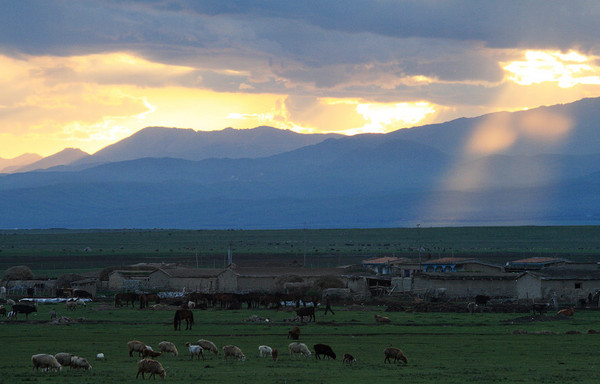 六月底的伊犁雪山,5月的伊犁草原