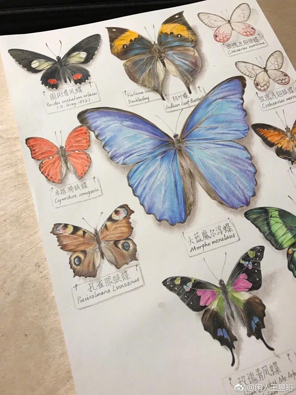 王昱珩上学经历,清华毕业的王昱珩