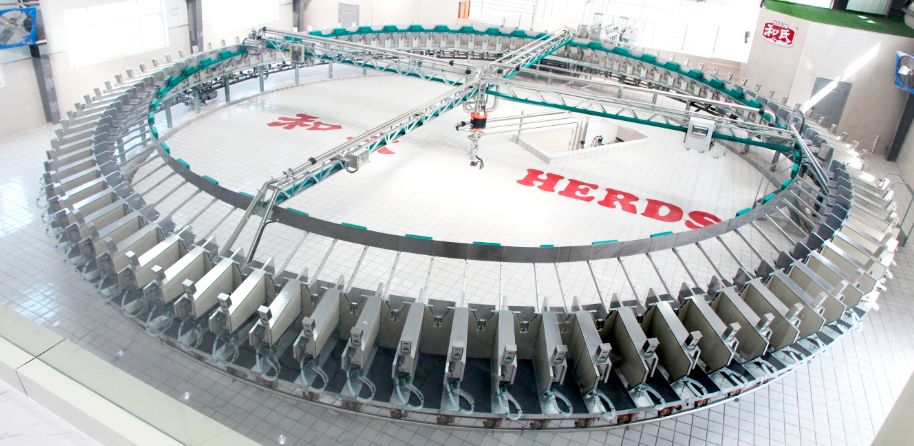 “奶中之王”|羊奶粉是更接近母乳的营养之选