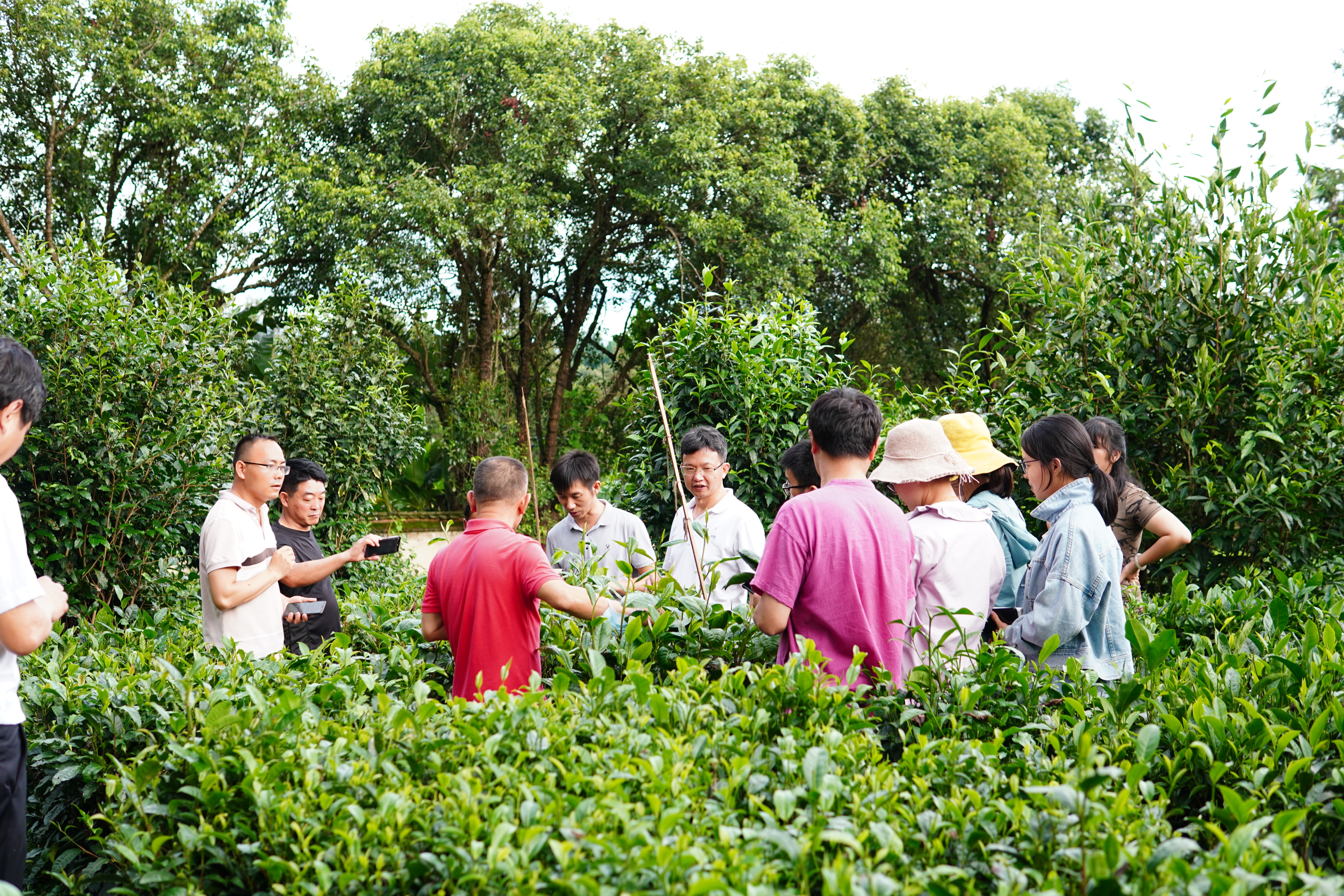 浙大二十大成果展,浙大新成果亮相
